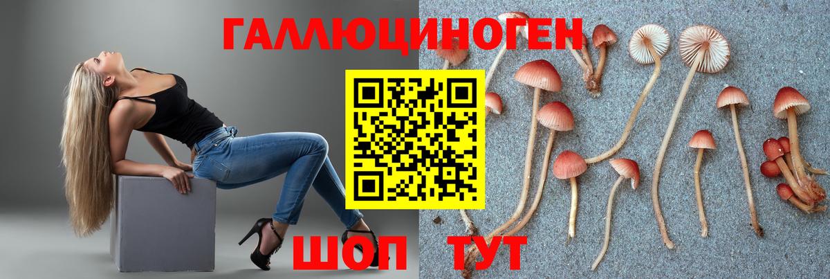 Ялуторовск  Галлюциногенные грибы Psilocybe  Вход с VPN 