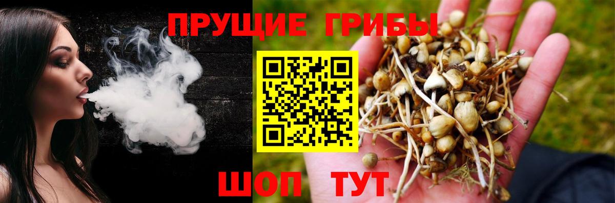 Псилоцибиновые грибы ЛСД Ялуторовск
