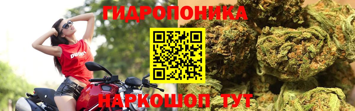 Каннабис Bruce Banner Ялуторовск